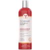 Veterinary Formula Clinical Care Antiseptic&Antifungal Medicated Shampoo Антисептичний та протигрибковий, з хлоридом бензетонію та кетоконазолом