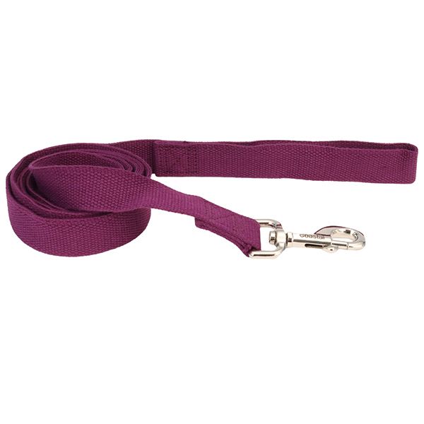 Coastal New Earth Soy Leash повідець для собак