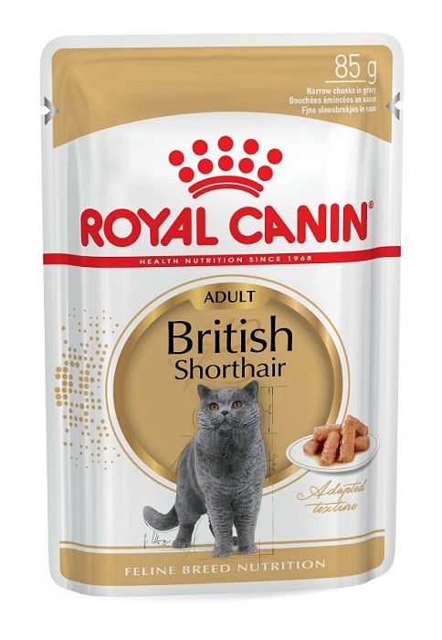 Royal Canin Cat British Shorthair Adult Gravy