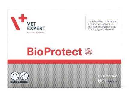 VetExpert BioProtect при порушенні ШКТ для котів та собак