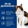 Hill’s Prescription Diet w/d Wet, з куркою