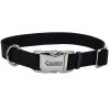 Coastal Titan Buckle Нашийник для собак