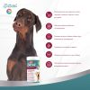 8in1 Excel Multi Vitamin Adult