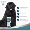 8in1 Excel Brewers Yeast Large Breed