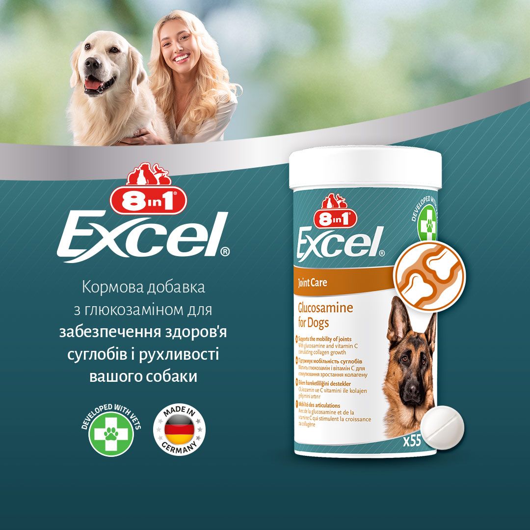 8in1 Excel Glucosamine