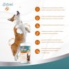 8in1 Excel Glucosamine