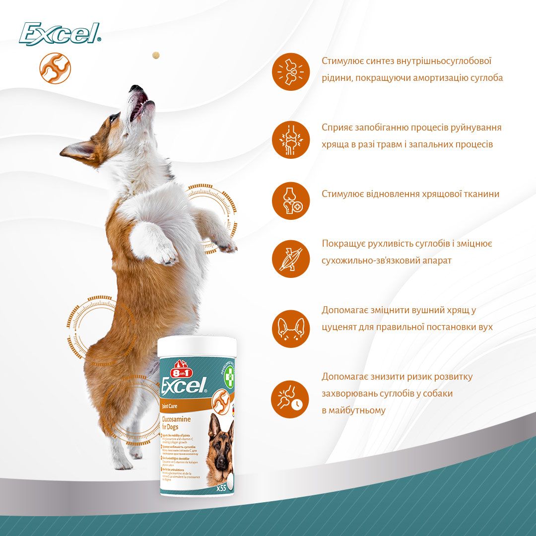 8in1 Excel Glucosamine