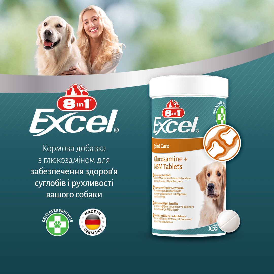 8in1 Excel Glucosamine + MSM