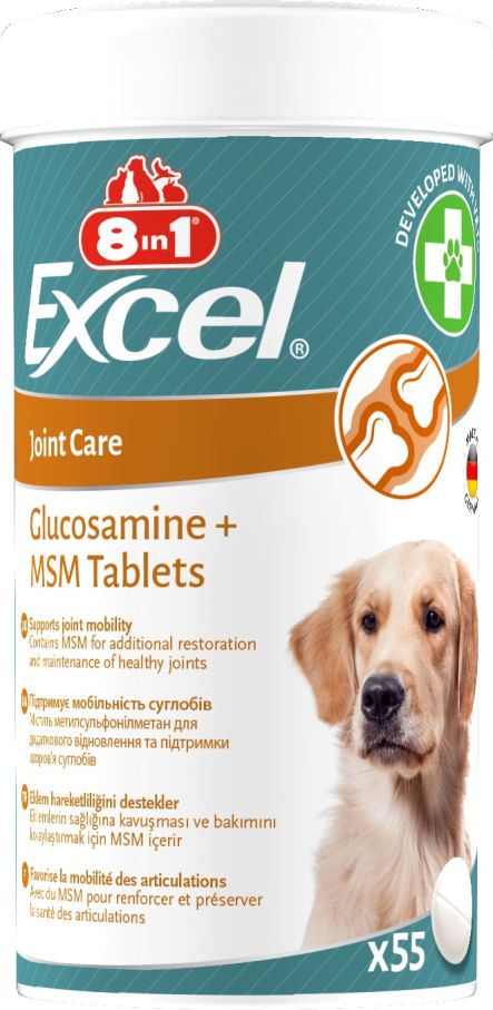8in1 Excel Glucosamine + MSM