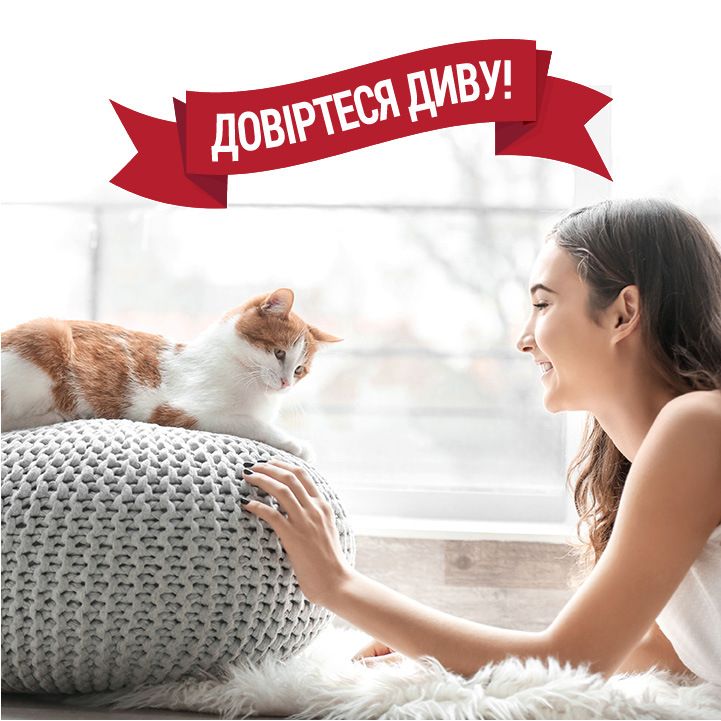 8in1 Nature's Miracle Cat Urine Destroyer Pour для усунення запахів сечі котів