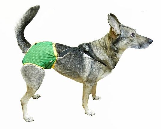Okey Doggy Гігієнічні труси для тварин з підтяжками