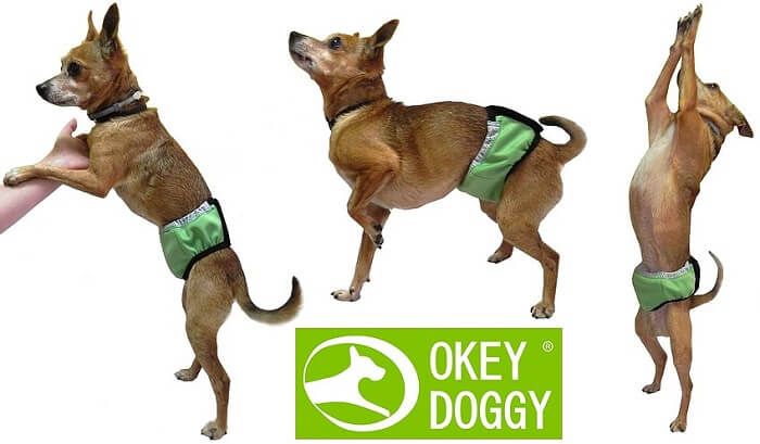 Okey Doggy Гігієнічний вбираючий пояс для псів, Салатовий