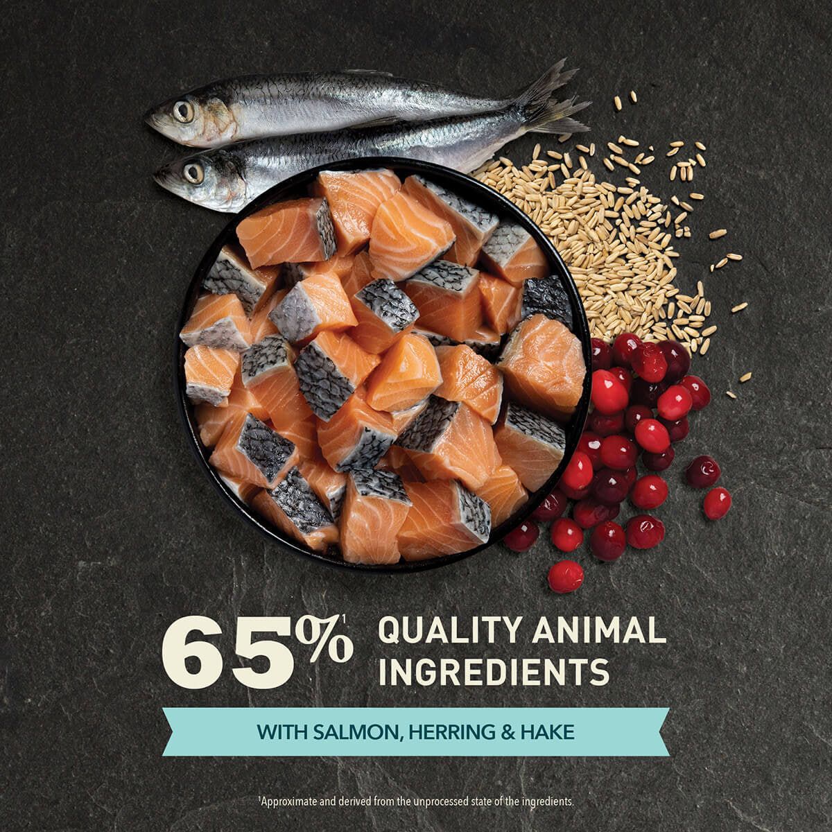 Acana Cat Bountiful Catch, з лососем та оселедцем