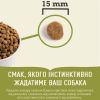 Acana Dog Puppy Large Breed Recipe, з куркою