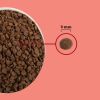 Acana Highest Protein Indoor Cat Recipe