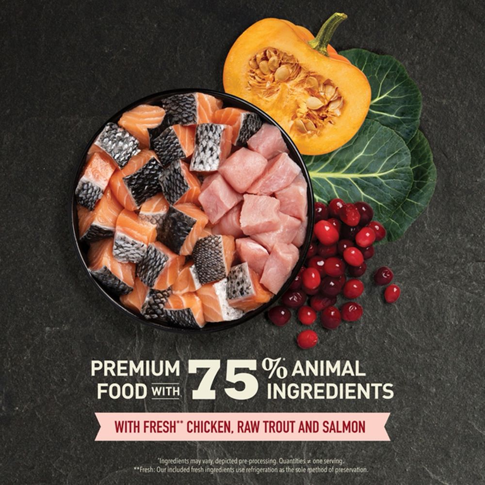 Acana Highest Protein Indoor Cat Recipe