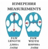 NeoPaws Summer Reinforced Літні ортопедичні черевики для собак