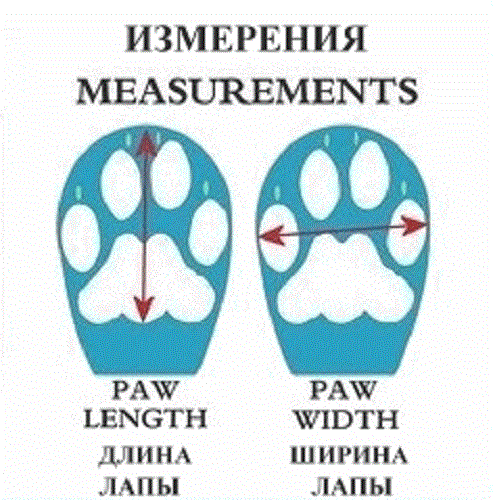NeoPaws Summer Reinforced Літні ортопедичні черевики для собак