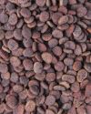 Carnilove Cat True Fresh Turkey with Buckwheat & Lentils, з індичкою