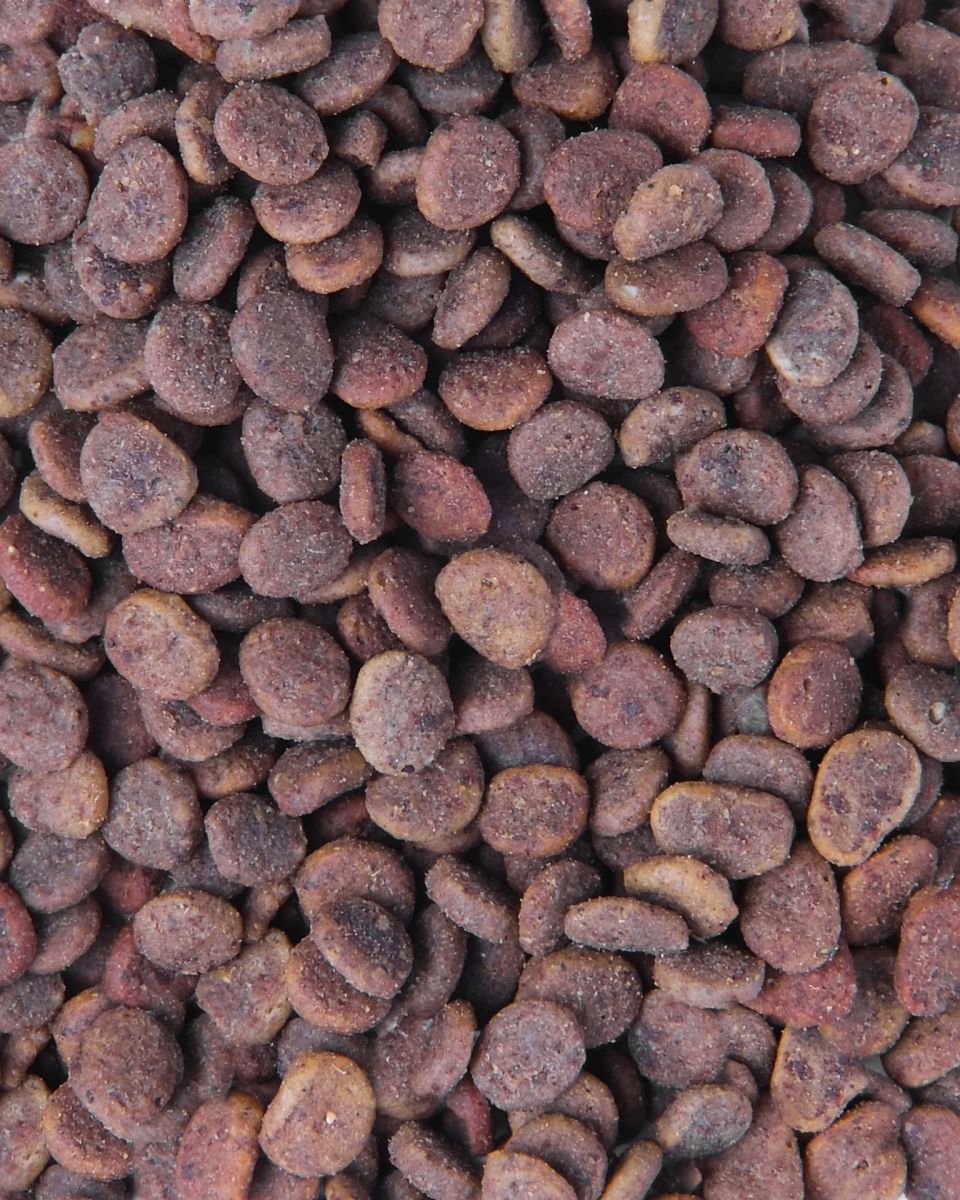 Carnilove Cat True Fresh Turkey with Buckwheat & Lentils, з індичкою