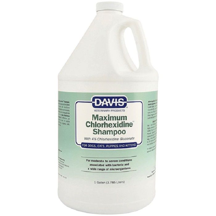 Davis Maximum Chlorhexidine Shampoo Шампунь для собак і котів з бактеріальними захворюваннями шкіри та шерсті