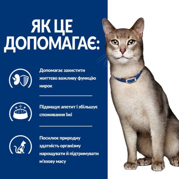 Hill’s Prescription Diet k/d Wet, з лососем