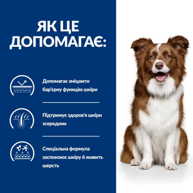 Hill's Prescription Diet Dog Derm Defense