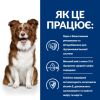 Hill's Prescription Diet Dog Derm Defense