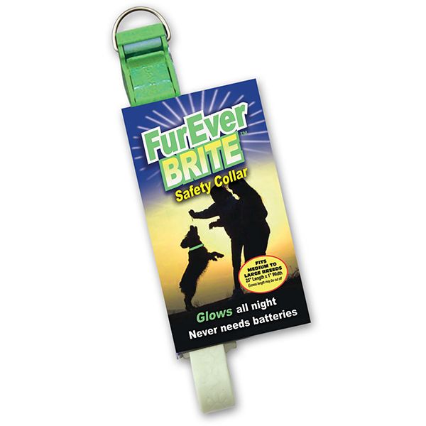Davis FurEver Brite Safety Collar Нашийник, що світиться для собак