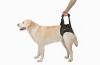 Frakishtak Підтримка задня "трусами" для собак з особливими потребами