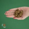 Bravery Dog Iberian Pork Large/Medium Adult, з іберійською свининою