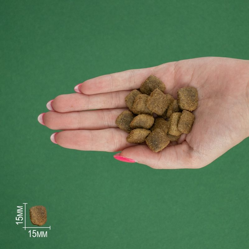 Bravery Dog Iberian Pork Large/Medium Adult, з іберійською свининою