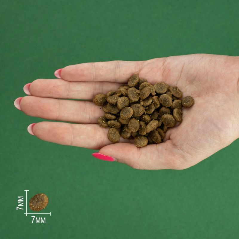 Bravery Dog Iberian Pork Mini Adult з іберійською свининою