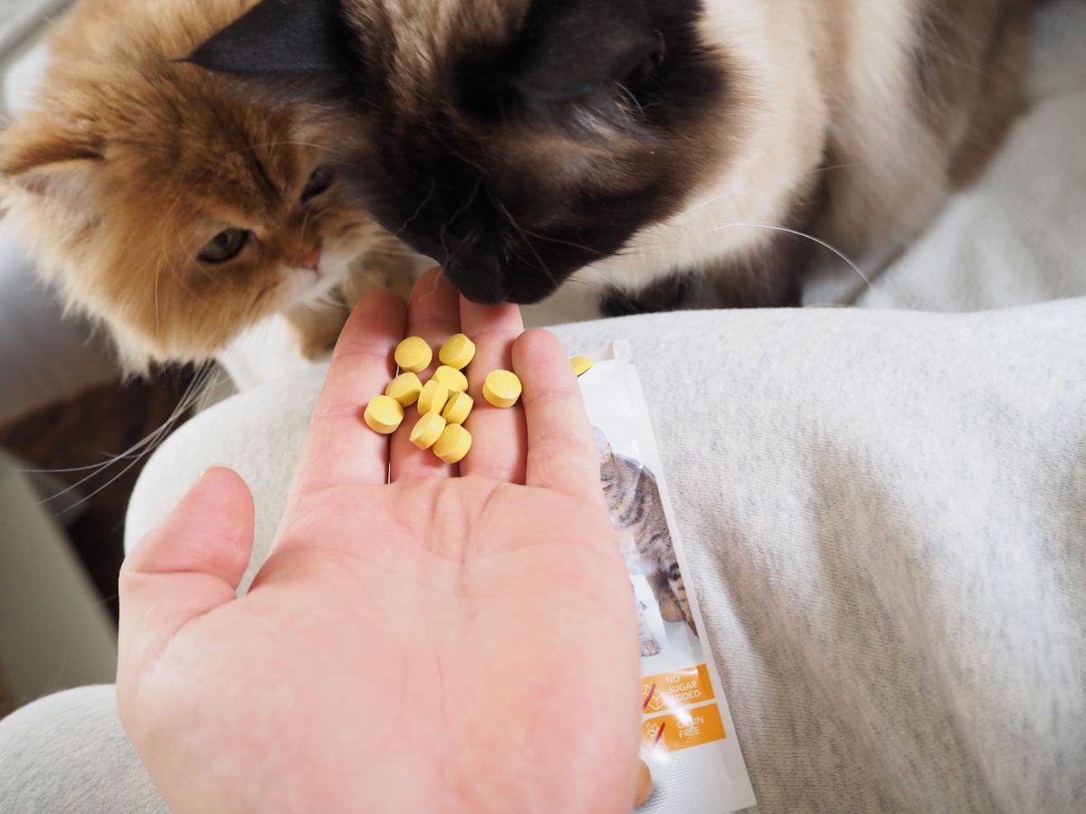 GimCat Kase-Rollis Таблетки з комплексом вітамінів сирні