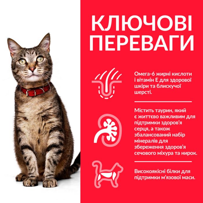 Hills Cat Science Plan Adult Chicken, з куркою