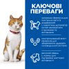 Hills Cat Science Plan Young Adult Sterilised Salmon, з лососем