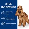 Hill's Prescription Diet Canine Z/D ActivBiome+