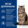Hill's Prescription Diet Gastrointestinal Biome, з куркою