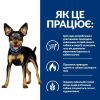 Hill’s Prescription Diet Metabolic Mini, з куркою