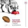 Royal Canin Maxi Adult - Корм збалансований для дорослих собак великих порід
