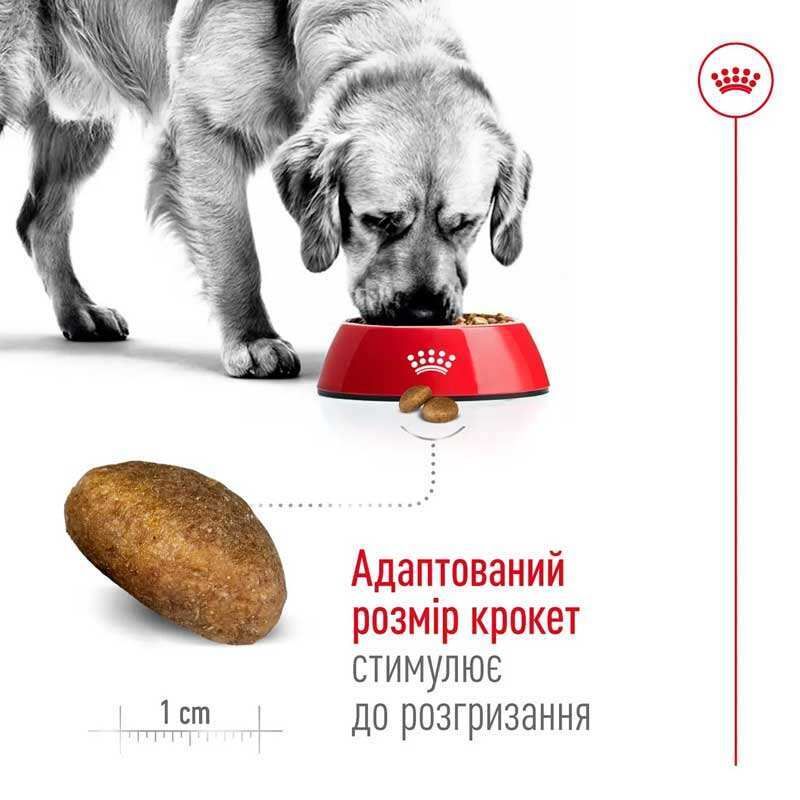 Royal Canin Maxi Adult - Корм збалансований для дорослих собак великих порід