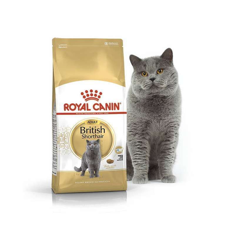 Royal Canin British Shorthair Adult - Сухий корм з птицею для дорослих Британських короткошерстих котів