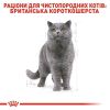 Royal Canin British Shorthair Adult - Сухий корм з птицею для дорослих Британських короткошерстих котів