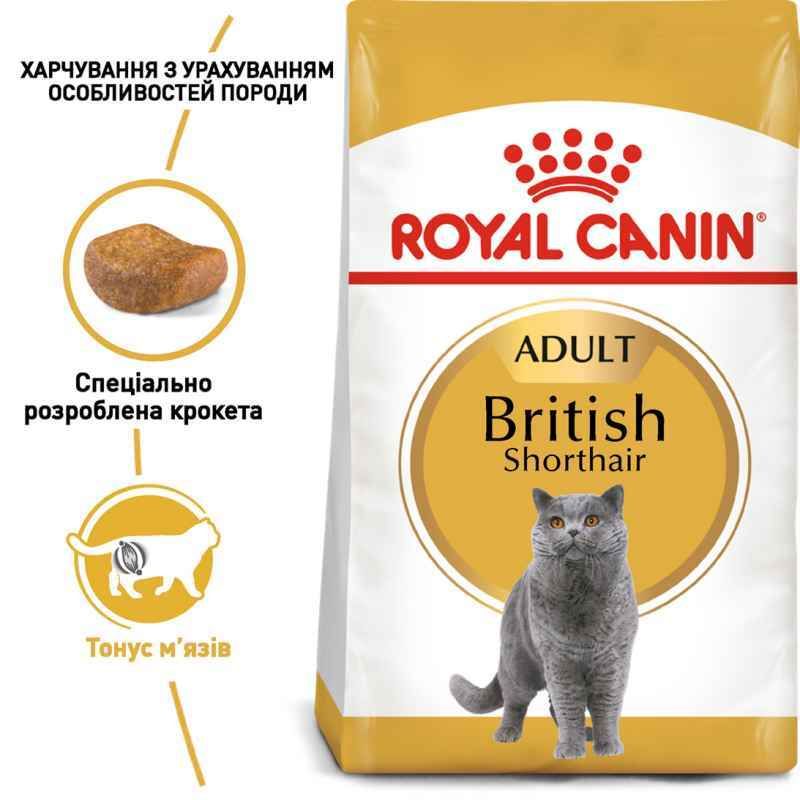 Royal Canin British Shorthair Adult - Сухий корм з птицею для дорослих Британських короткошерстих котів