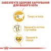 Royal Canin British Shorthair Adult - Сухий корм з птицею для дорослих Британських короткошерстих котів