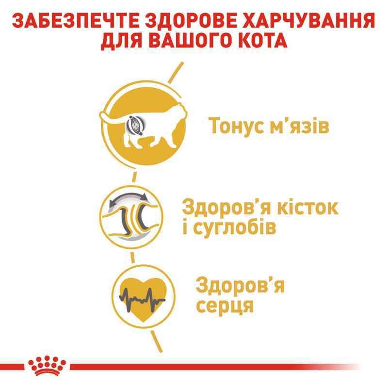 Royal Canin British Shorthair Adult - Сухий корм з птицею для дорослих Британських короткошерстих котів