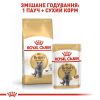 Royal Canin British Shorthair Adult - Сухий корм з птицею для дорослих Британських короткошерстих котів