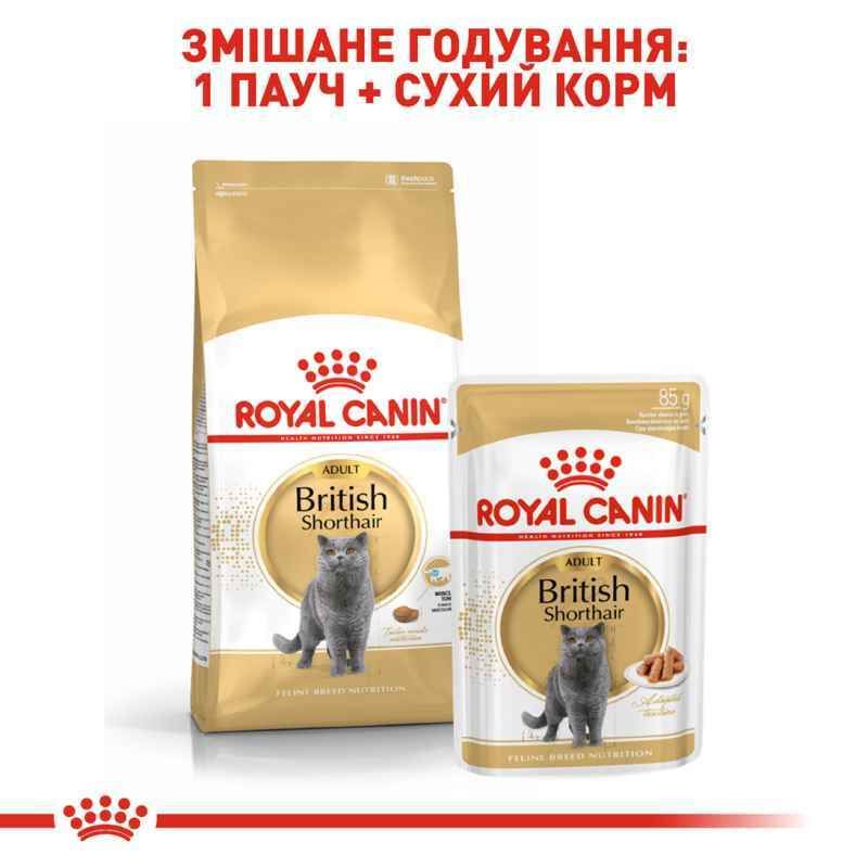 Royal Canin British Shorthair Adult - Сухий корм з птицею для дорослих Британських короткошерстих котів