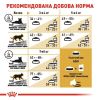Royal Canin British Shorthair Adult - Сухий корм з птицею для дорослих Британських короткошерстих котів