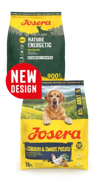 Josera Dog Medi/Maxi Chicken & Sweet Potato (Nature Energetic)